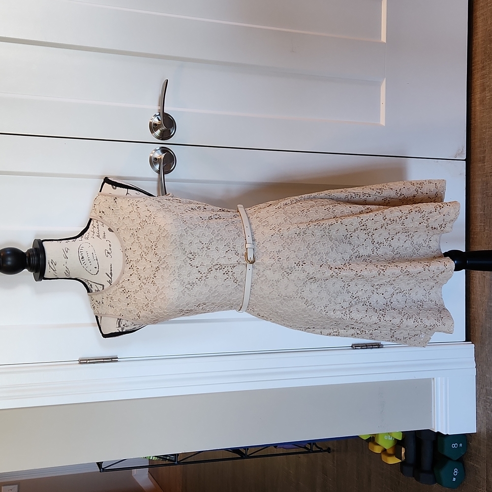 The Limited Tan Shimmery Lace Dress